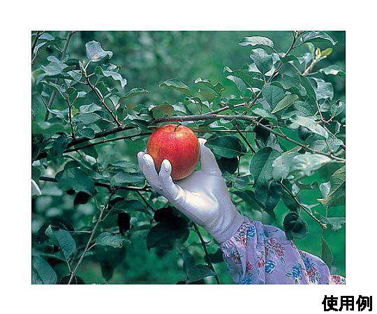 [M] 手袋(ポリウレタンコーティング) 手のひら部分が明るい色でコーティングされた、正面から見た状態