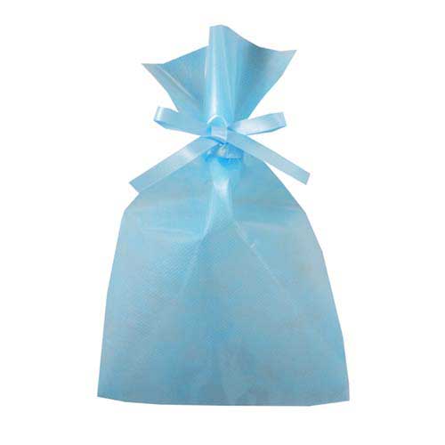 ソフトバッグクリア 2穴リボン巾着 S3 パステルブルー画像