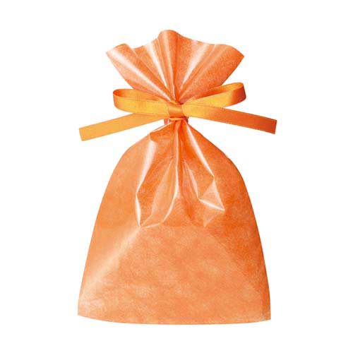ソフトバッグクリア 2穴リボン巾着 S2 オレンジ画像