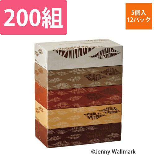 ティッシュペーパー　Feathers　200組/箱　1セット(60箱:5箱×12パック)画像