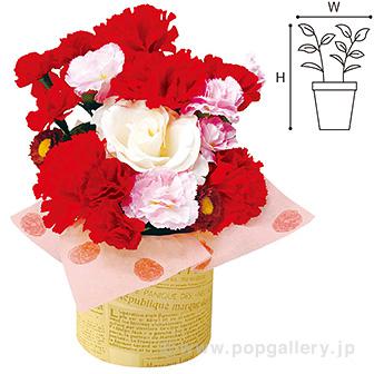 カーネーションローズスタンド画像
