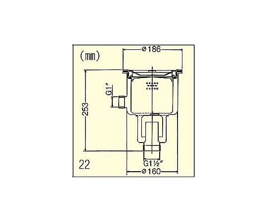 G1.1/2" 防臭排水トラップ 透明の排水トラップが上から見える状態
