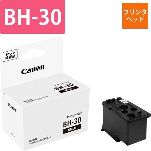 純正プリンタヘッド　BH-30画像