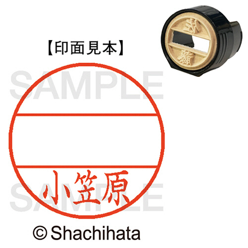 ﾃﾞｰﾀｰﾈｰﾑEX15号 ﾏｽﾀｰ部(印面) 既製 小笠原 1個画像