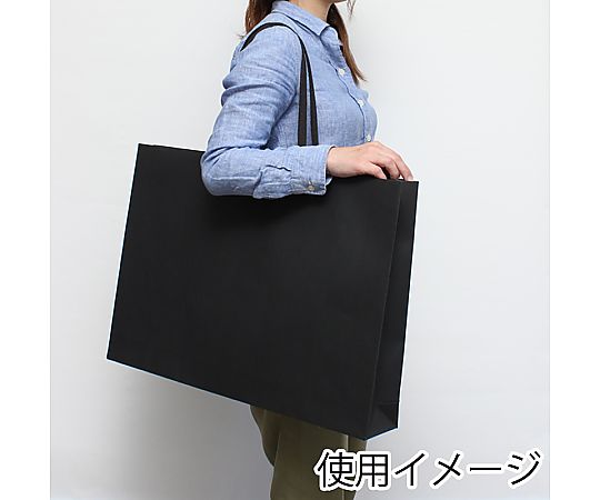 HEIKO 紙袋 ファッションバック LL 黒 10枚 黒い紙袋が立てられ、持ち手の部分が強調されている状態