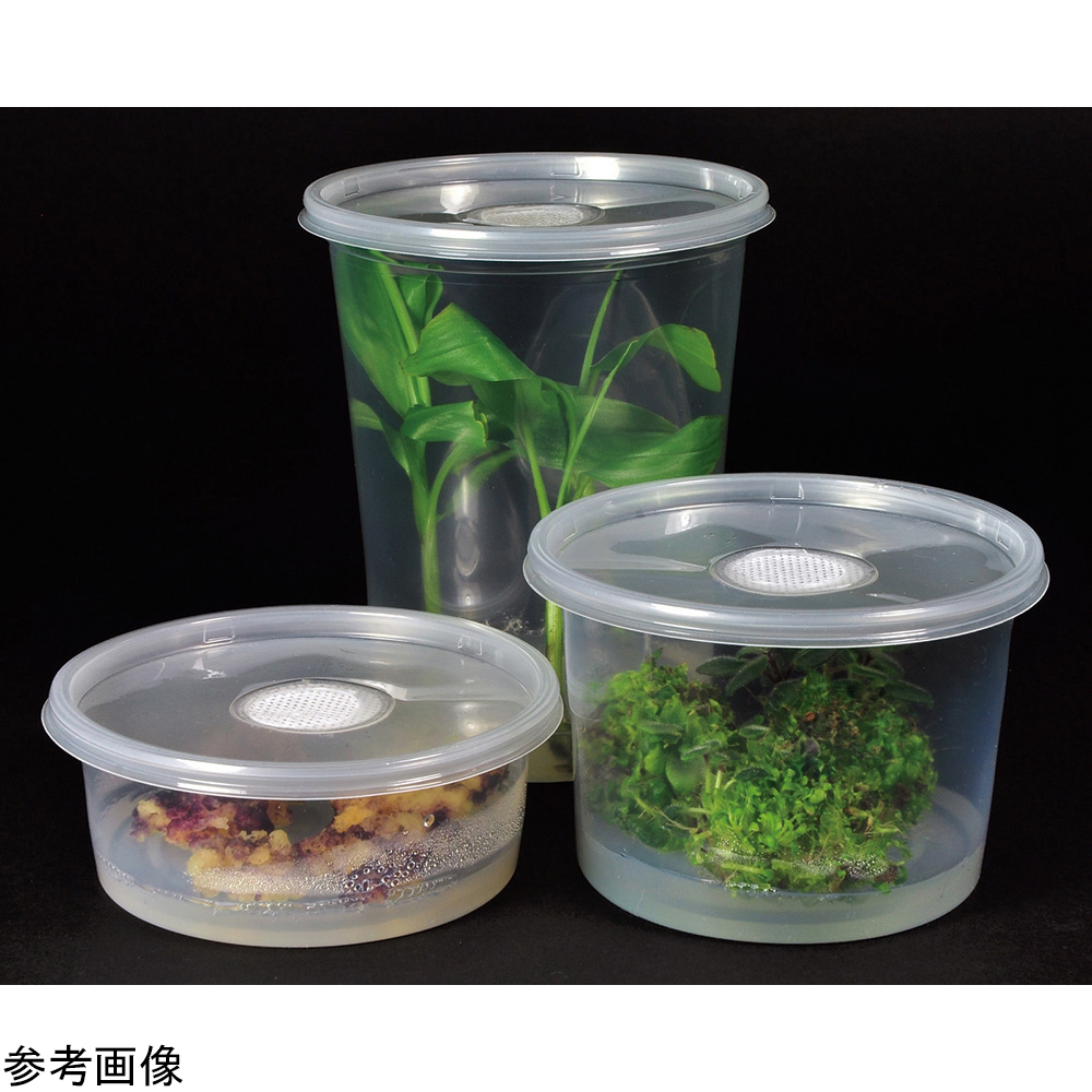 植物培養容器(PhytoCon)ベント付きフタ　10個入 上面がベント付きの透明なフタが整然と並んでいる様子