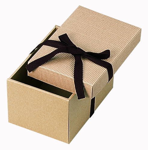 片段ギフトボックス リボン付き（220×150×高135mm）画像