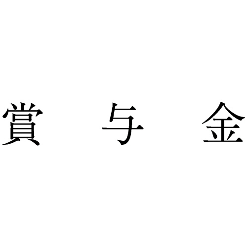 勘定科目印 1013 賞与金 1個画像