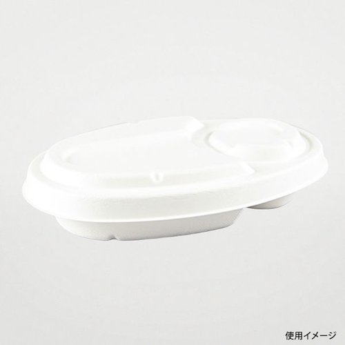 カレー容器 ABカレー C-1 ラミ パックスタイル 透明なパックに入ったカレー容器が正面から見える状態