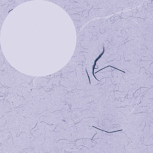 包装紙 半才 ふうび 紫画像