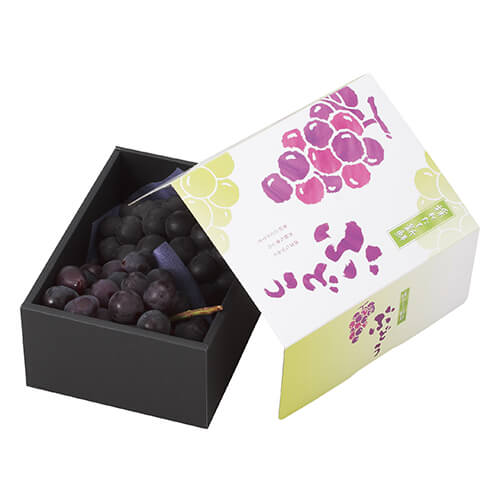 採れたてぶどう画像