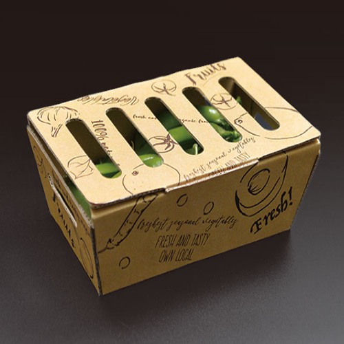 青果・農産容器 パックスタイル ベジフルボックス 大画像