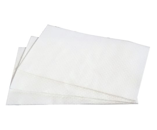 ディスポタオル エアレード フレッシュプラス 1箱（70枚入）画像