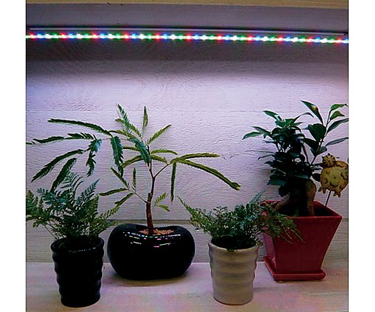 植物育成補光用＋ディスプレイ用ＬＥＤ画像