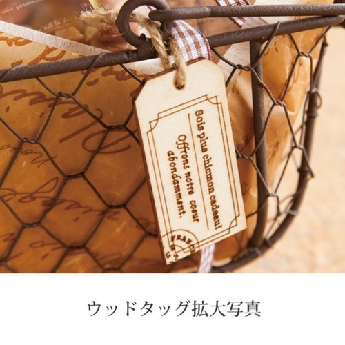 フラワー什器 ワイヤ-バスケット-M アイボリー(6個) ヘッズ 円形のワイヤーバスケットが横から見える状態で、アイボリーの色合いが際立っている。