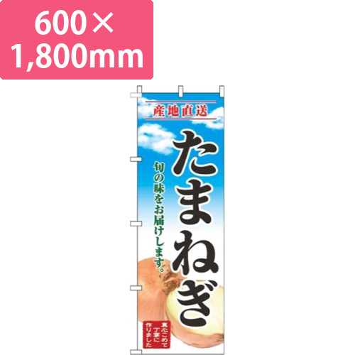たまねぎ青空明画像