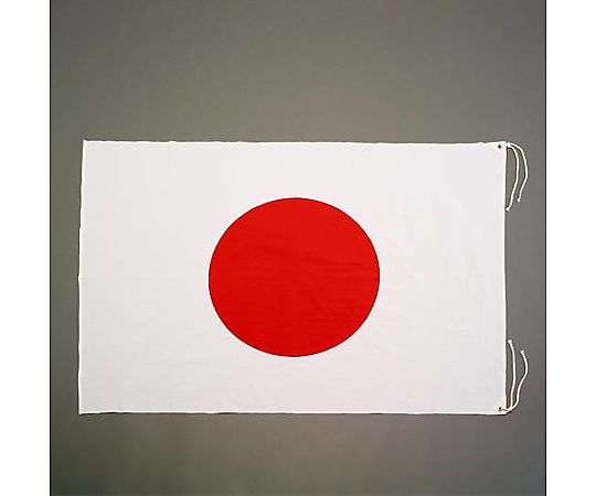 1300x 900mm 国旗(綿)画像