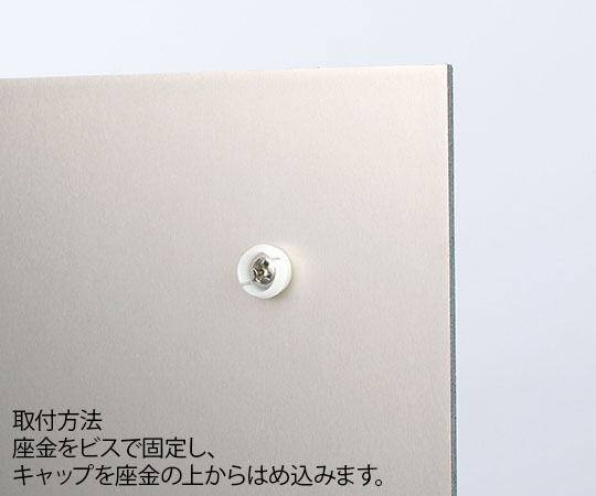 壁面パーツFSN15-12Cr　クローム　盗難防止　10個セット クローム仕上げの盗難防止パーツが整然と並んでいる様子