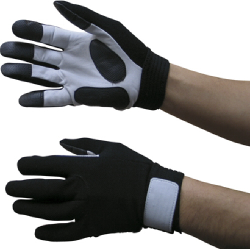 ﾎｰｹﾝ ﾄﾞｯﾄｻｲﾊﾞｰ 1双画像