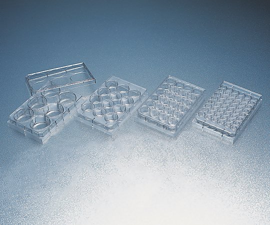 セルカルチャープレート マルチウェルプレート・フタ付き 6ウェル 個包装 1箱（1枚×50袋入）画像