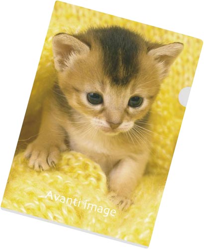 クリヤーホルダーＡ４　アビシニアン　５０セット画像