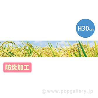 ラウンドシートS 稲穂（写真） （防炎加工）画像