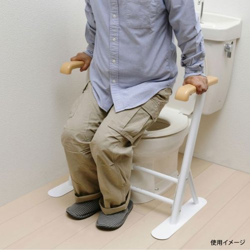 【介護/医療】トイレ周辺用具 トイレ用サポート手すり TRT-64A アイリスオーヤマ 側面から見た手すりが設置されたトイレのシーン