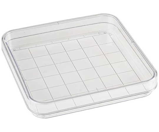 プロビオペトリディッシュ 96角 13mmグリッド入 10枚×50袋入画像