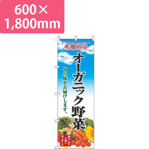 オーガニック野菜青空明画像