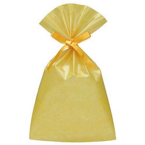 ソフトバッグクリア 2穴リボン巾着 S5 イエロー画像