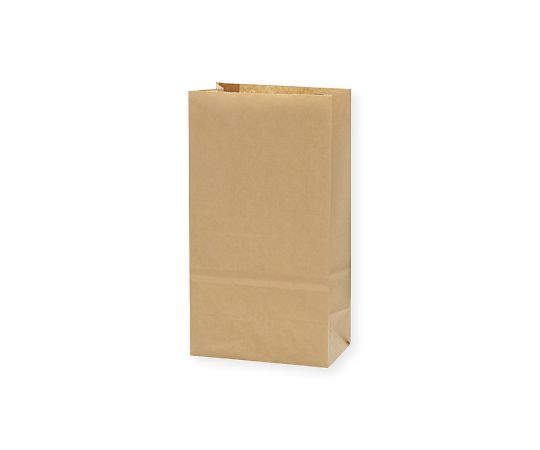 角底袋 No.3 未晒無地 100枚画像