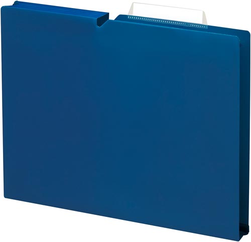 個別フォルダー＜ＮＥＯＳ＞Ａ４　３０ｍｍ紺１０冊画像