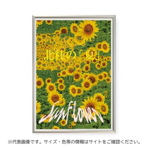 アルミフレーム スリムエイト B3 ホワイト 友屋画像