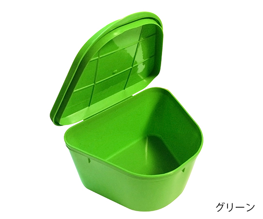 入れ歯ケース (書き込みスペース付き) 　グリーン画像