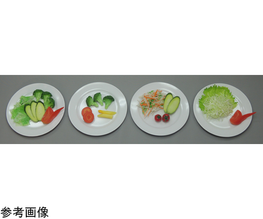 糖尿病フリーチョイス「付け合せ野菜」 付け合せ野菜 A （磁石なし）画像