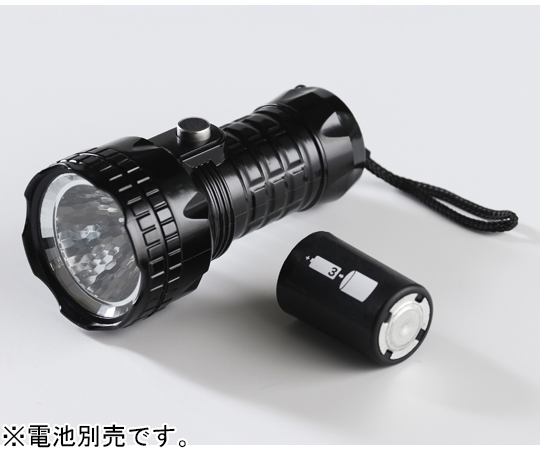 どっちーもハンディライト画像