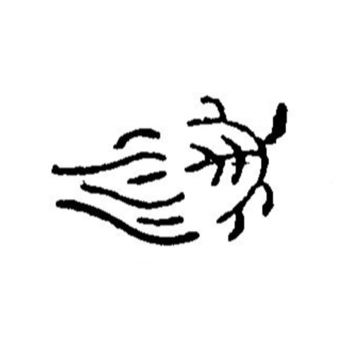 調理道具 焼印 亀 340053画像