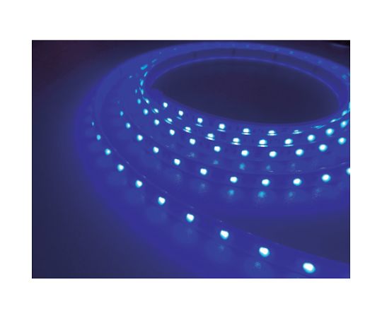 LEDテープライト Viewdi DC12V 16.6mmP 青色 3m巻画像