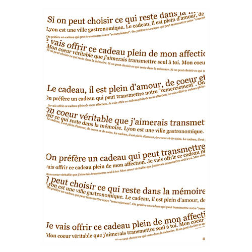 梨地平袋RホワイトMS画像