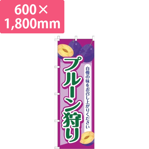 プルーン狩り紫画像