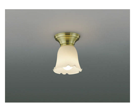 LED直付器具画像