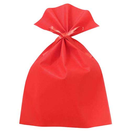 ソフトバッグベーシック2穴リボン巾着 S7 厚 赤画像