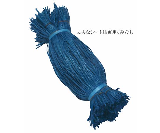 シート紐 青 60センチ 1000本入画像
