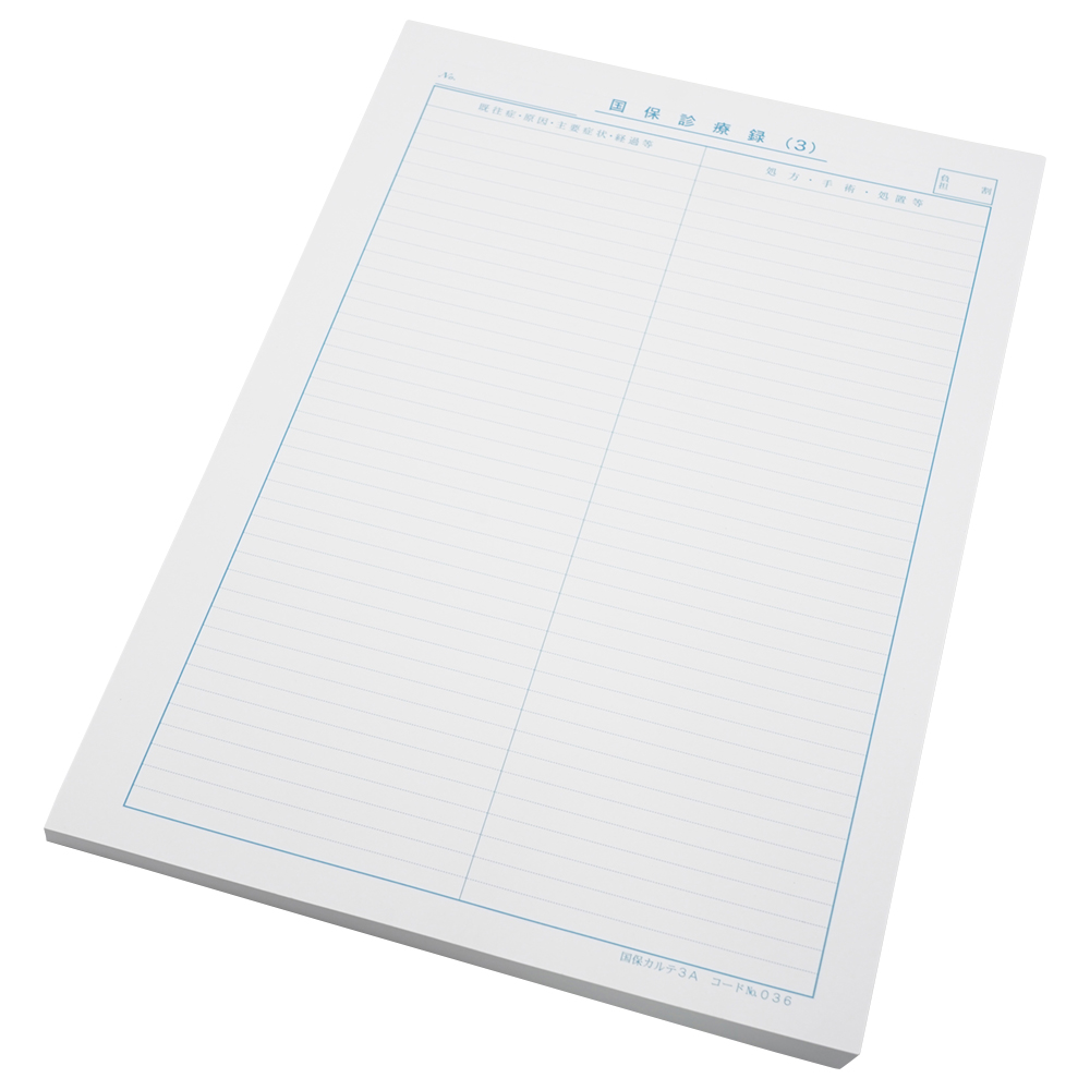 国保カルテ A4サイズ 1袋（100枚入）