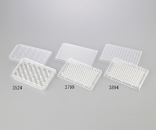 マルチプルウエルプレート 96ウェル V底 1箱（1枚×50袋入） 透明なパッケージに収められた個別のウエルプレートが並ぶ様子