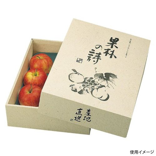 ギフト箱 L-293 果林の詩 ヤマニパッケージ [ケース販売]