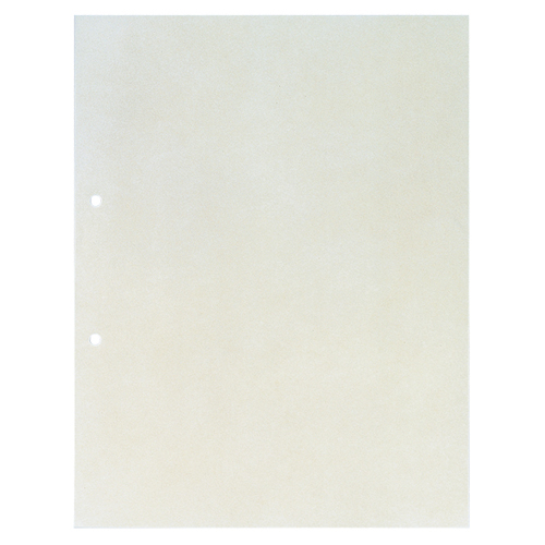 透明ﾎﾟｹｯﾄ A4ﾀﾃ 2穴 台紙あり 1ﾊﾟｯｸ(10枚)画像