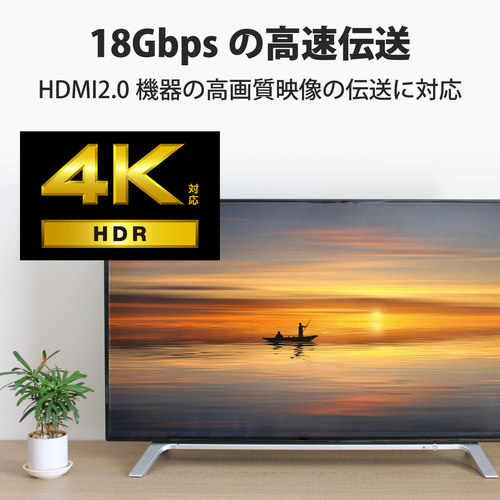 プレミアムHDMIケーブル スタンダード 5.0m ケーブルのコネクタ部分がクローズアップされた状態