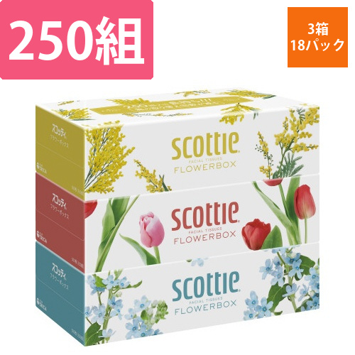 スコッティティシューフラワー250組3箱18パック