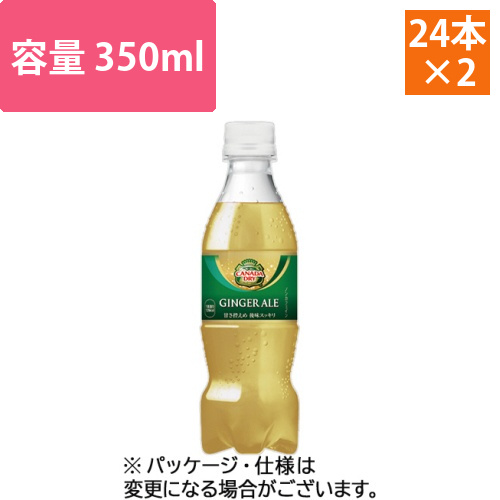 カナダドライ　ジンジャーエール　350mL　ペットボトル　1セット(48本:24本×2ケース)画像